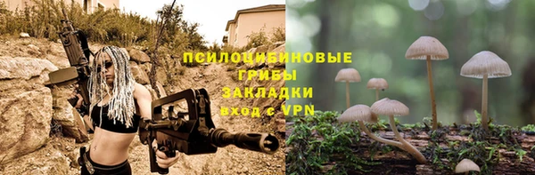 эйфоретик Абинск