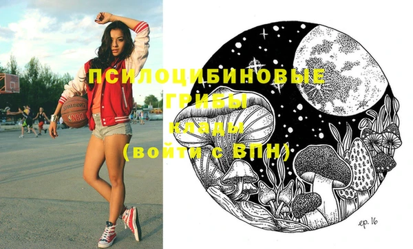 эйфоретик Абинск