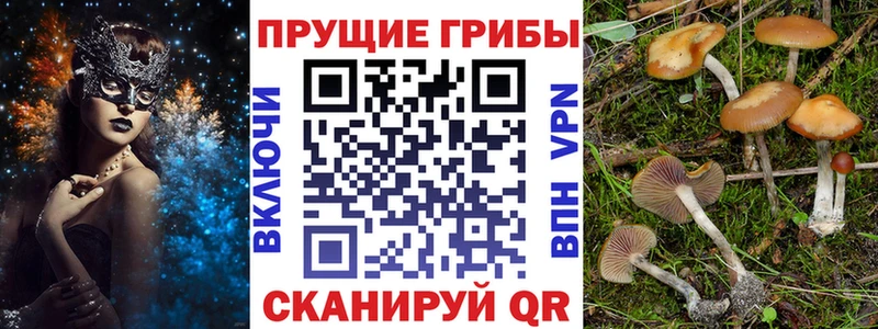 Псилоцибиновые грибы MAGIC MUSHROOMS  Магнитогорск 